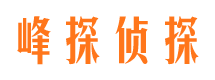 南郊市调查公司